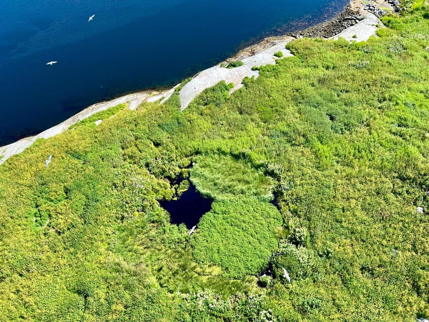 Saltstraumen: Arctic Adventure and Scenic Journey - The Saltstraumen stop: walk, viewpoint, and time to shoot