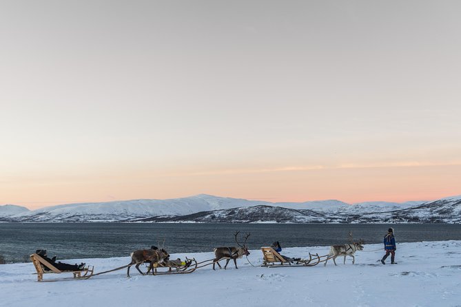 Sami Culture and Short Reindeer Sledding from Tromso - The Lavuu Lunch: Bidos, Sweets, Coffee, and Warm Waiting