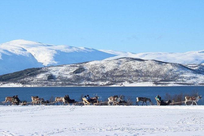 Sami Culture and Short Reindeer Sledding from Tromso - Price and Value: What $204.05 Buys You in Tromsø