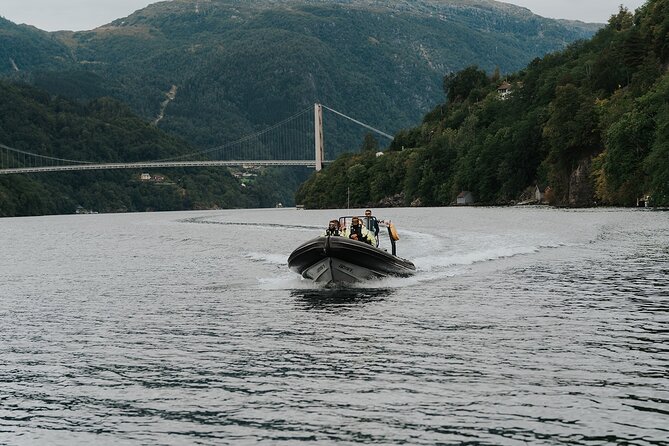 Scenic Hardangerfjord & Fyksesund RIB adventure from Norheimsund - Why this Norheimsund RIB beats a standard fjord cruise