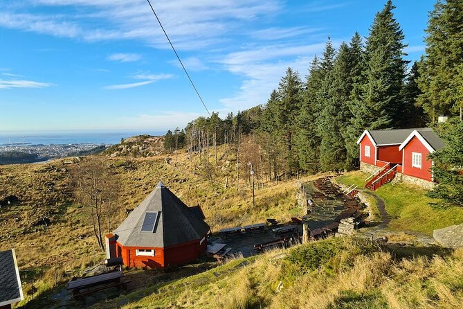 Scenic tour to Steinsfjellet, locals at Kringsjå & Rising Tide - Key highlights at Steinsfjellet, Kringsjå & Rising Tide