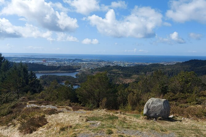 Scenic tour to Steinsfjellet, locals at Kringsjå & Rising Tide - The final stop: Rising Tide horse statues and Haraldshaugen