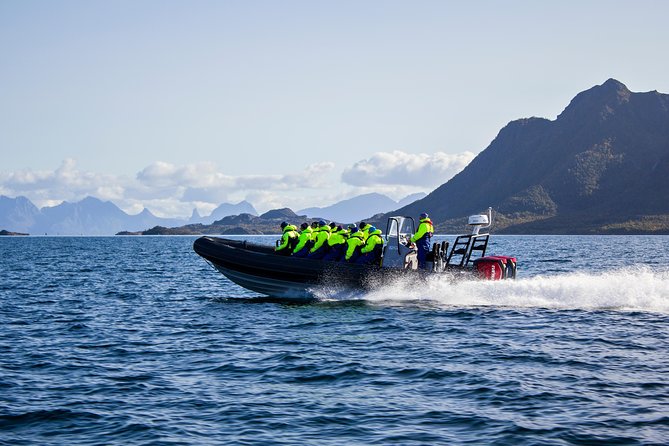 Sea Eagle Safari from Svolvær to Trollfjorden - Trollfjorden Stop: How 15 Minutes Changes Your Photos and Your Perspective