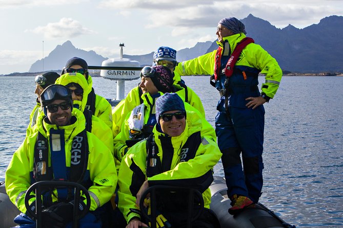 Sea Eagle Safari from Svolvær to Trollfjorden - Guides on Board: Expect Clear Safety, Real Stories, and Bird Facts