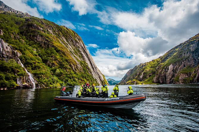 Sea Eagle Safari from Svolvær to Trollfjorden - Weather and Cancellations: When You Should Worry, and When You Should Chill