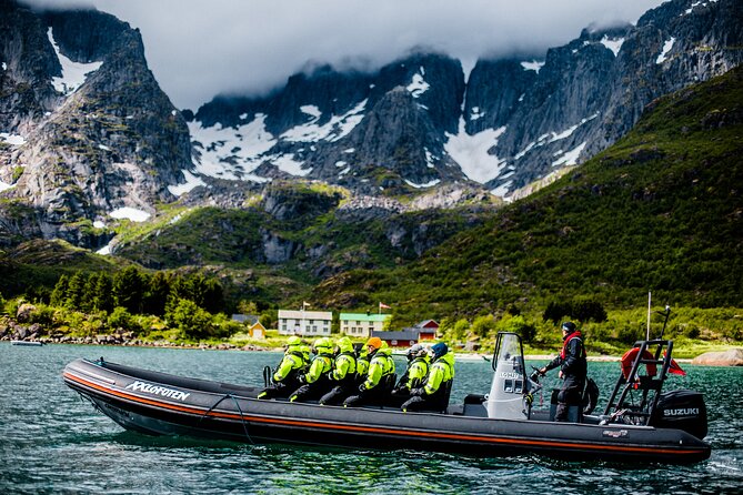 Sea Eagle Safari from Svolvær to Trollfjorden - Price and Value at About $156.56 for Two Hours