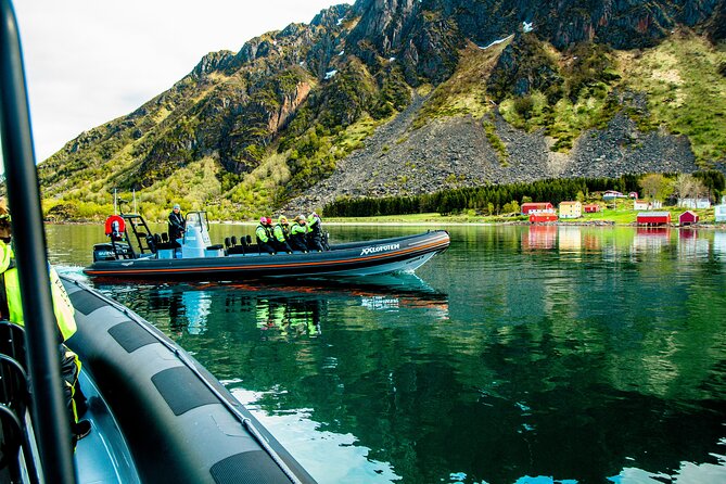 Sea Eagle Safari from Svolvær to Trollfjorden - Should You Book This Sea Eagle Safari?