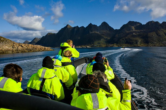 Sea Eagle Safari from Svolvær to Trollfjorden - What the Ride Feels Like on the Water, and Why It Matters for Wildlife Spotting