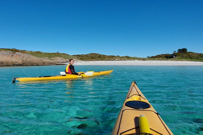 Sea Kayak Guided Tours on Skrova Island - Wildlife spotting: how to make your chances better on the water