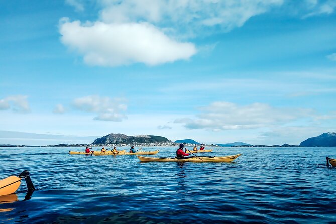 Sea Kayaking In Ålesund - Key things to know before you paddle Ålesund