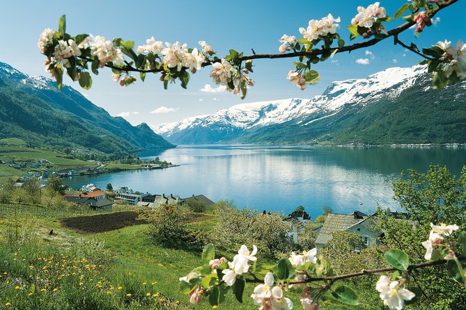 Self-Guided 22-Hour Round Trip From Oslo To Sognefjord With Flåm Railway - Voss, Bergen, or straight back to Oslo on the night train