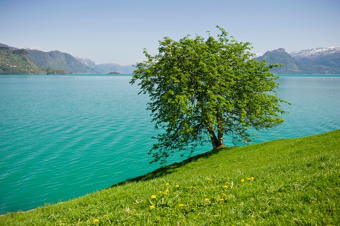 Self-Guided 22-Hour Round Trip From Oslo To Sognefjord With Flåm Railway - Price and value: is $537.58 a good deal?
