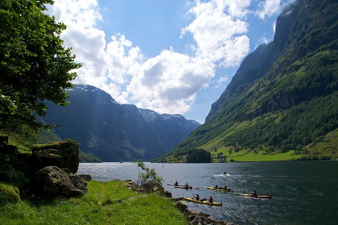 Self-Guided Full Day Round-trip From Bergen - Bergen to Voss: the train start that sets your mood