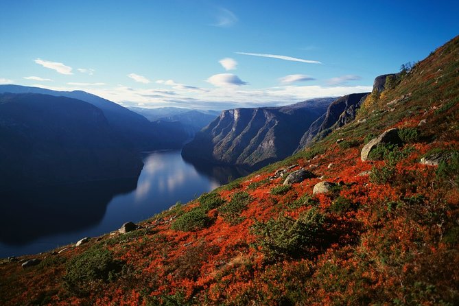 Self-Guided Full Day Round-trip From Bergen - Voss to Gudvangen by bus, with Stalheimskleiva hairpins (seasonal)