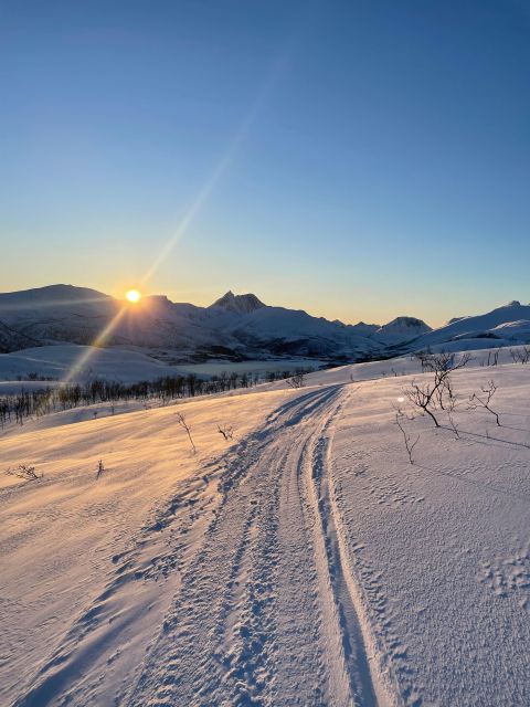 Senja Island: Winter Light Package Deal, 1 Day and 1 Night - Key things I’d lock in before you go