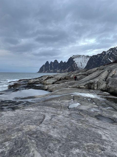 Senja Island: Winter Light Package Deal, 1 Day and 1 Night - Who this tour is perfect for (and who should reconsider)