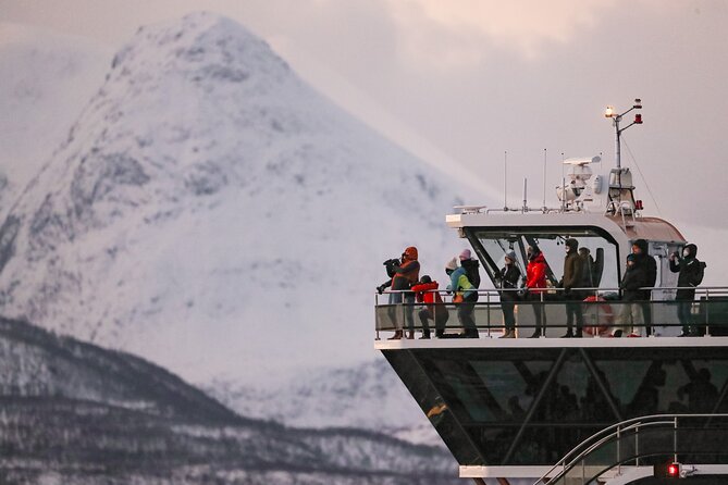 Silent Whale Watching by Hybrid-Electric Boat from Tromsø - On the Water for 7 to 9 Hours: Choppy Water, Warm Cabin, Cold Deck