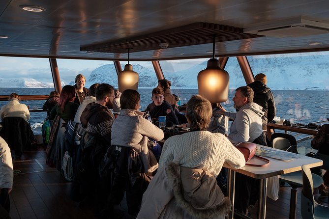 Silent Whale Watching by Hybrid-Electric Boat from Tromsø - Who Should Book This Silent Whale Cruise From Tromsø