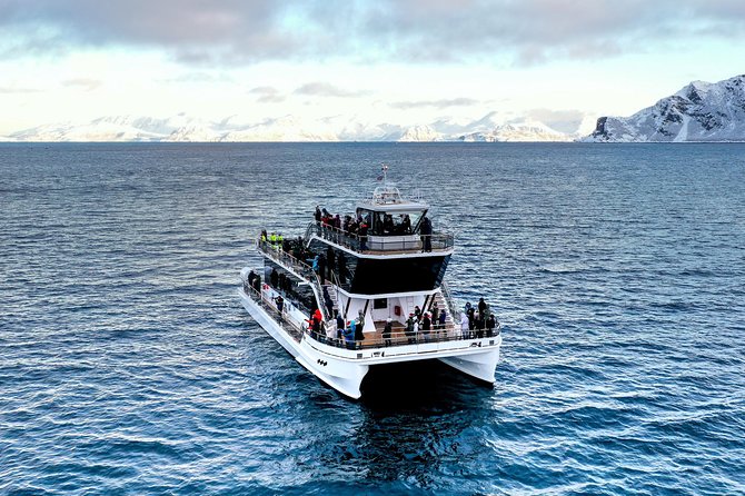 Silent Whale Watching by Hybrid-Electric Boat from Tromsø - Lyngstuva Lighthouse to Skjervøy: Fjord Views That Are Part of the Ticket