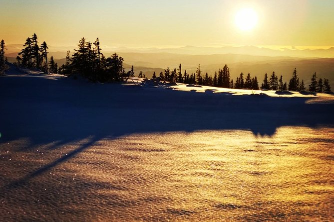 Skiing in winter wonderland - The Cross-Country Lesson That Gets You Skiing Fast