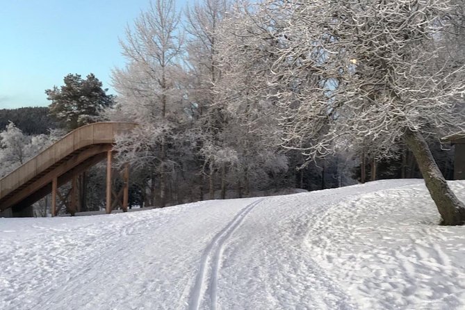 Skiing in winter wonderland - Guide Style: Ingrid’s Kind, Individual Attention