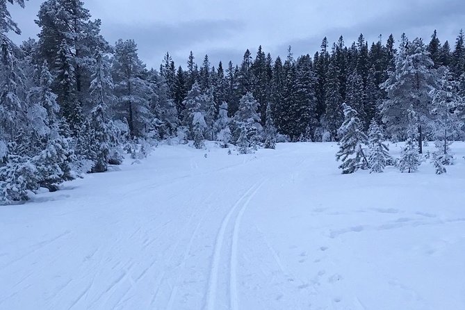 Skiing in winter wonderland - What to Wear for Cross-Country Skiing in Trondheim
