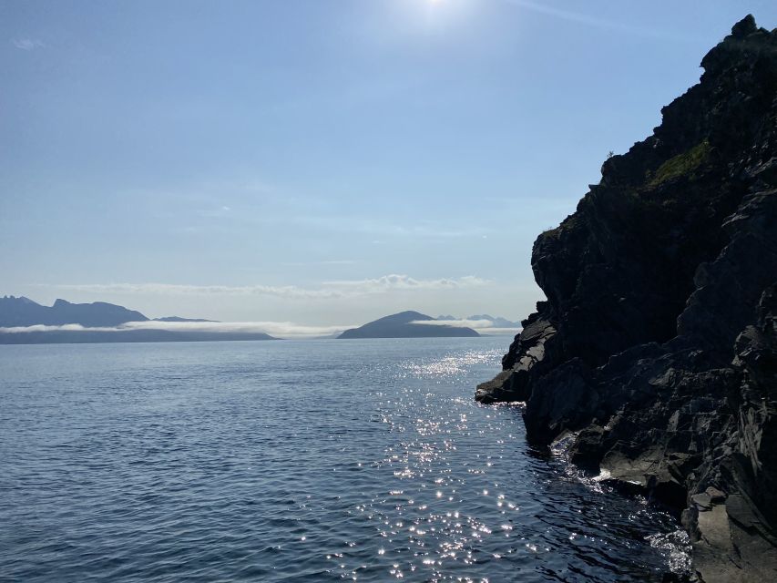 Skjervøy: Birds and Wildlife of Arctic Norway - Should You Book Skjervøy: Birds and Wildlife of Arctic Norway?