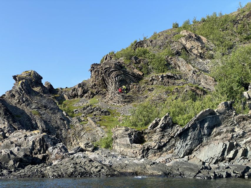 Skjervøy: Birds and Wildlife of Arctic Norway - The 3-Hour Flow: What Happens From Start to Finish