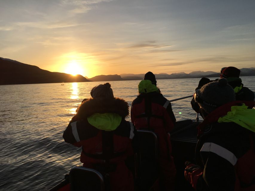 Skjervøy: Birds and Wildlife of Arctic Norway - Included Gear That Actually Changes Comfort in the Arctic