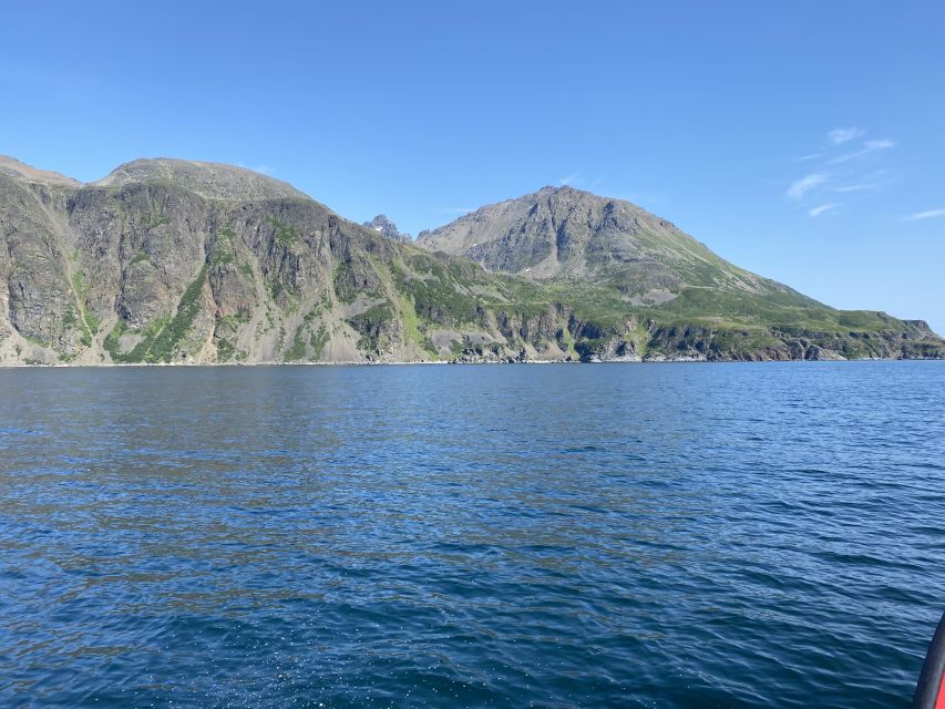 Skjervøy: Birds and Wildlife of Arctic Norway - Price and Value: What $165 Buys You in Skjervøy