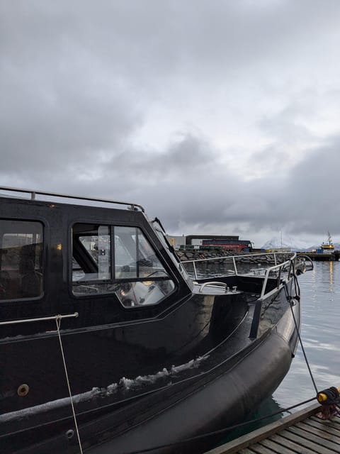 Skjervøy: Orca and Whale-Watching comfort heated Boat Trip - The main time on the water: what the 3.5 hours is really for