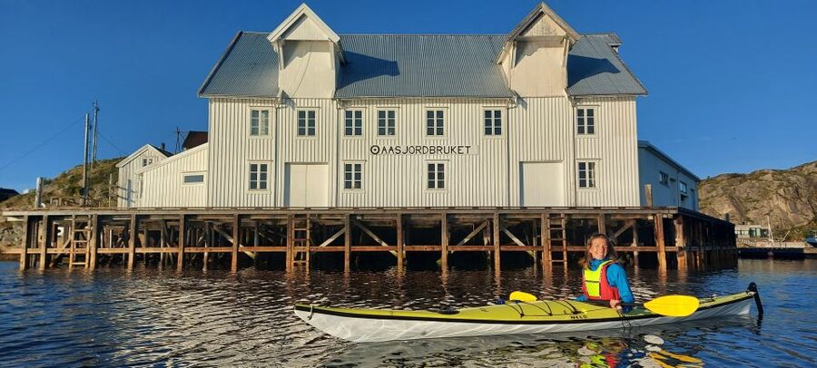 Skrova Island : 3hours Guided Kayak Tour - Walks and Returns: How the Tour Ends Without Stress