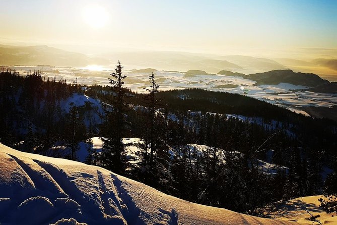 Slegding and tram-tour - To Lian in winter: timing, pickup, and the ~2-hour flow