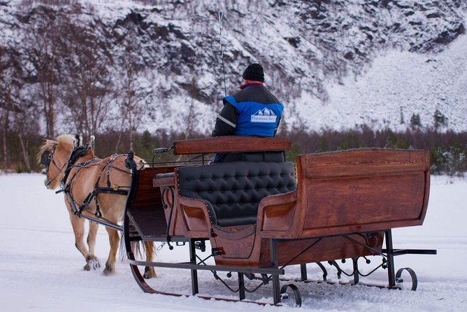 Sleigh or wagon ride in the arctic Country side - Key highlights you will care about