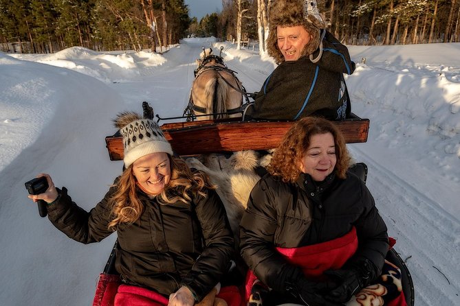 Sleigh or wagon ride in the arctic Country side - Pickup from Alta City Center and a tight 10:00 start