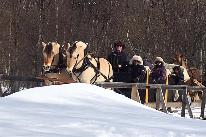 Sleigh Ride w/ snacks - Experience Arctic Farm Life - Alta to Omdal Gard: what the ride start feels like