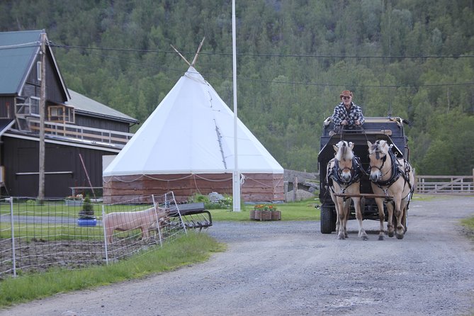 Sleigh Ride w/ snacks - Experience Arctic Farm Life - Northern Lights chances: how to think about aurora odds here