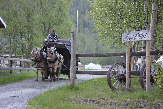 Sleigh Ride w/ snacks - Experience Arctic Farm Life - Warm clothing and winter comfort: what you should pack
