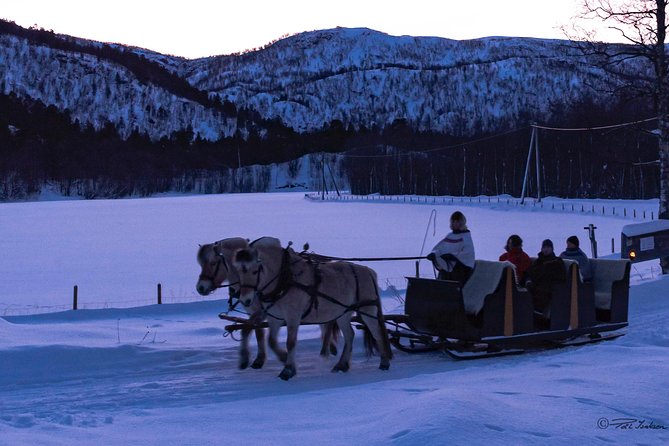 Sleigh Ride w/ snacks - Experience Arctic Farm Life - Who this tour suits best, and who might want to skip it