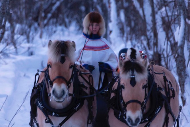 Sleigh Ride w/ Tapas Meal - Experience Arctic Farm Life - Alta’s working farm plus a horse sleigh and Sami tapas