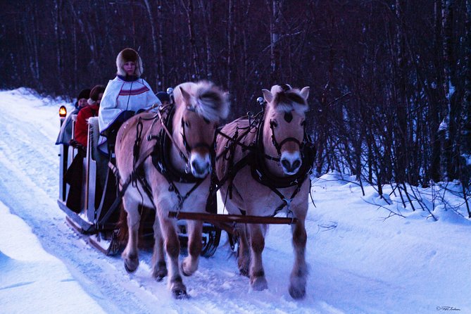 Sleigh Ride w/ Tapas Meal - Experience Arctic Farm Life - Sami lavvo tapas meal, what you will eat and how it works