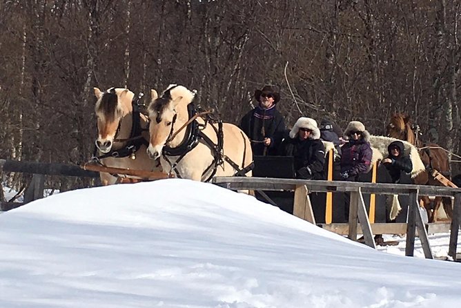 Sleigh Ride w/ Tapas Meal - Experience Arctic Farm Life - Who this tour fits best (and who should adjust expectations)