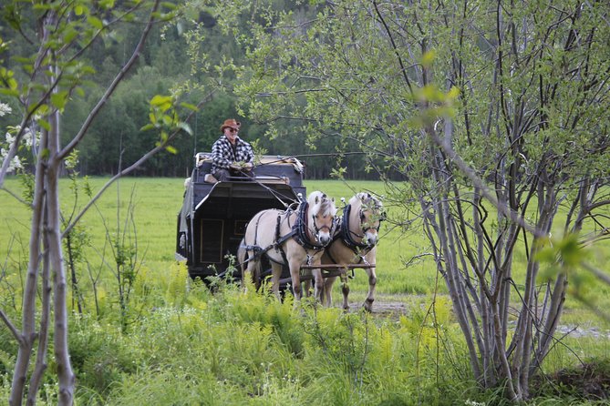 Sleigh Ride w/ Tapas Meal - Experience Arctic Farm Life - Should you book the Sleigh Ride with Tapas Meal in Alta?