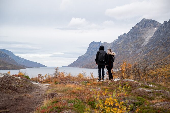 Small Group Arctic Fjords Road trip with Scenic Picnic - Small Group Size, City Pickup, and a Low-Stress Start