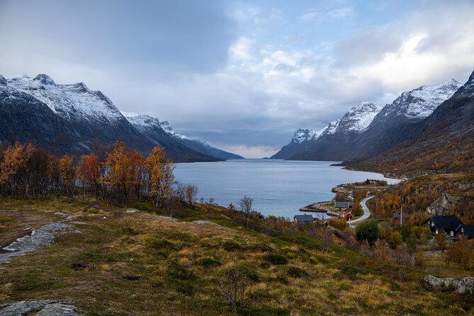 Small Group Arctic Fjords Road trip with Scenic Picnic - Scenic Picnic That Actually Works for Vegan Eaters