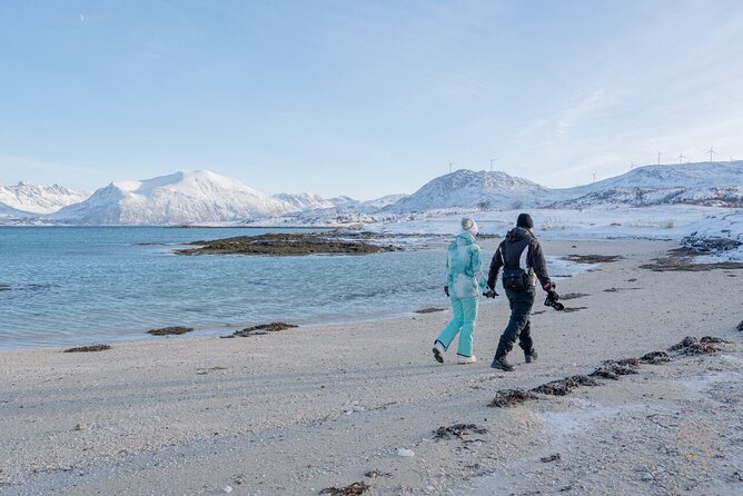 Small Group Arctic Fjords Road trip with Scenic Picnic - Professional Photos in Web Resolution: A Small Cost Saver