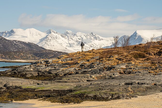 Small Group Arctic Fjords Road trip with Scenic Picnic - Timing and Expectations: What 5 to 6 Hours Feels Like