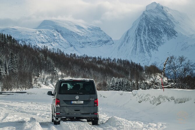 Small Group Arctic Fjords Road trip with Scenic Picnic - Price and Value: What $161.84 Really Covers