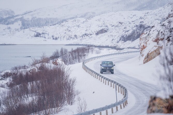Small Group Arctic Fjords Road trip with Scenic Picnic - Who Should Book This Tromsø Arctic Fjords Road Trip