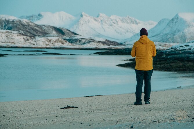 Small Group Arctic Fjords Road trip with Scenic Picnic - The Drive Itself: Wildlife Spotting and Arctic Scanning Time
